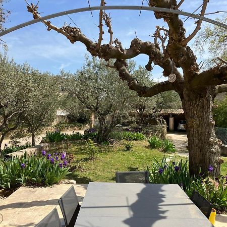 Chambre Avec Petit-Dejeuner En Provence Luberon La Tour-dʼAigues Dış mekan fotoğraf