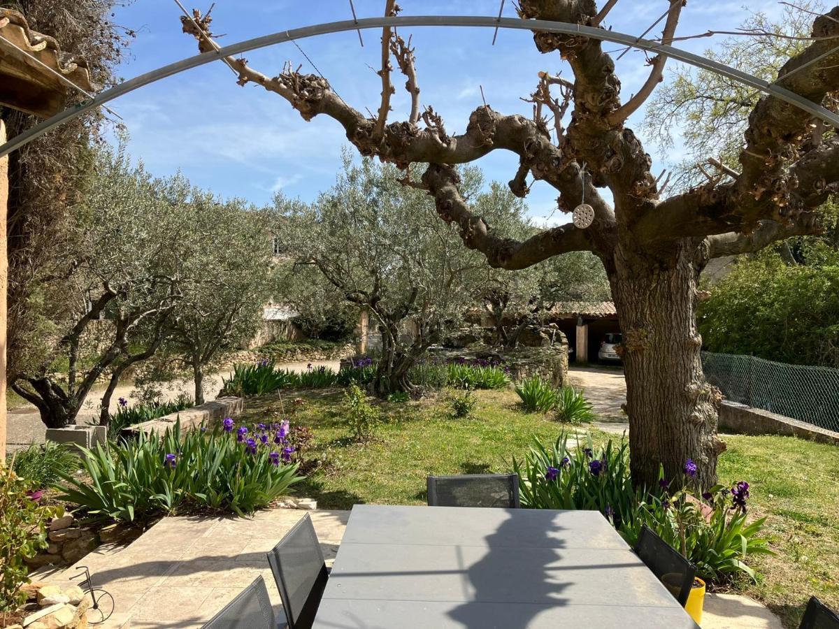 Chambre Avec Petit-Dejeuner En Provence Luberon La Tour-dʼAigues Dış mekan fotoğraf